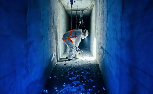 Control integral de plagas urbanas