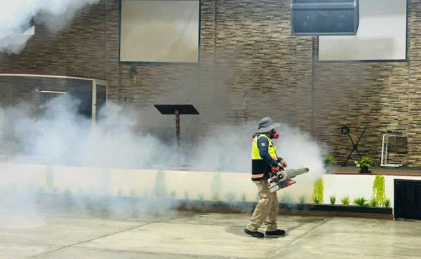 Control integral de plagas urbanas