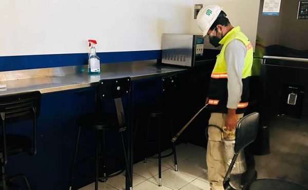 Control integral de plagas urbanas