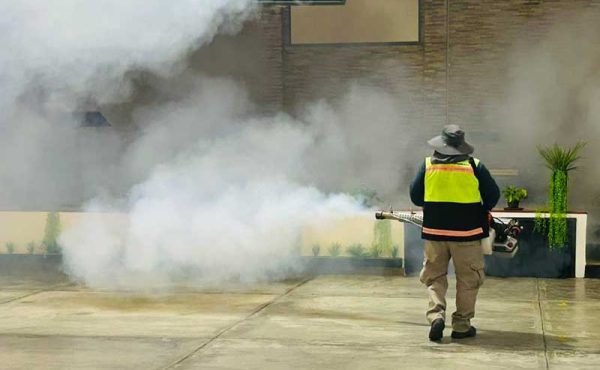 Control integral de plagas urbanas