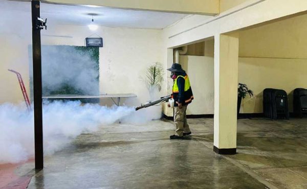 Control integral de plagas urbanas