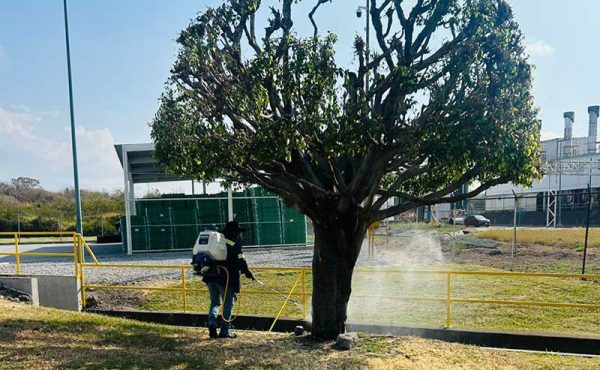 Desinfección patógena especializada