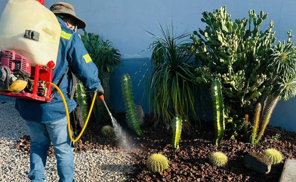 Desinfección patógena especializada